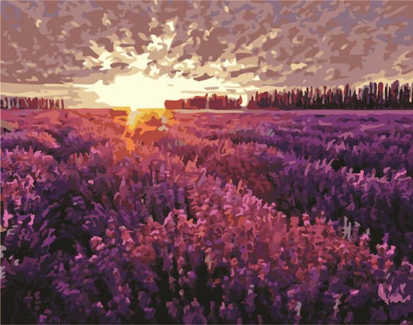 Landscape DIY Paint By Numbers Kits Lavender Field in Twilight DIY Paint By Numbers