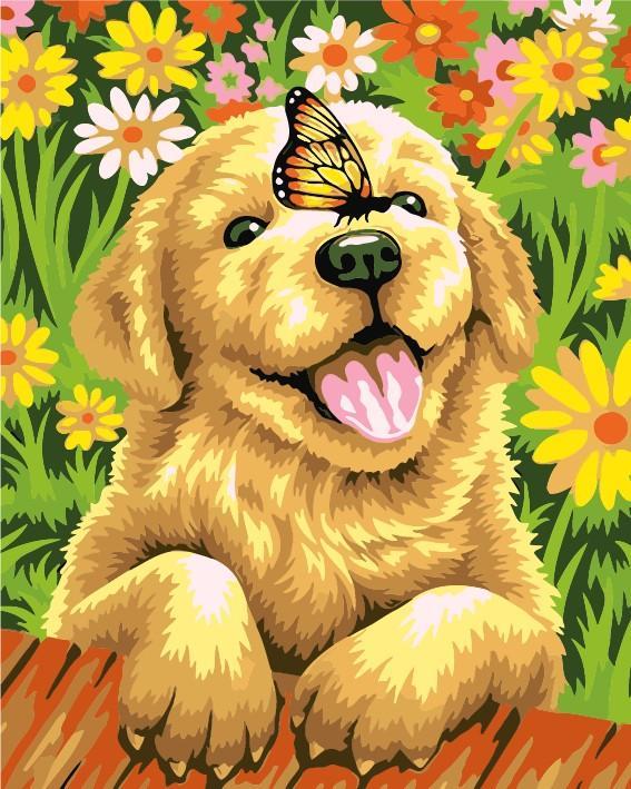 Cute Pet DIY Paint By Numbers Kits Little Dog Paint By Numbers Kits