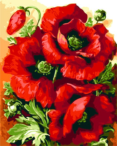Plant Paint By Numbers Kits Red Flower Paint By Numbers Kits