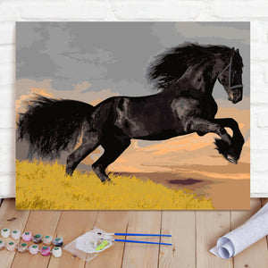 Custom Photo Painting Home Decor Wall Hanging-Black horse Painting DIY Paint By Numbers