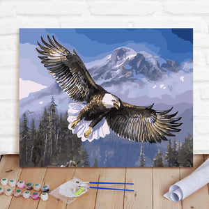 Custom Photo Painting Home Decor Wall Hanging-Soaring Eagle Painting DIY Paint By Numbers