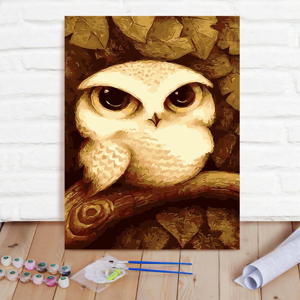 Custom Photo Painting Home Decor Wall Hanging-Owl Painting DIY Paint By Numbers