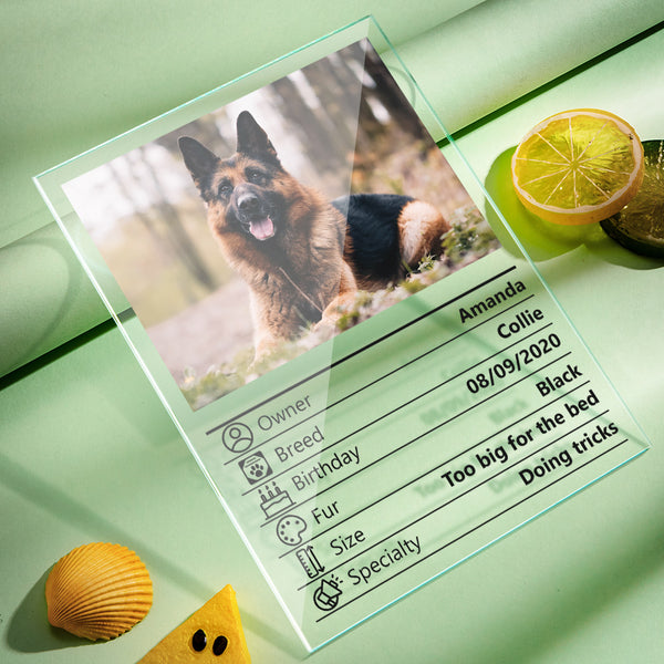 Custom Plaque Personalized Gift with Photo Custom Acrylic Plaque Gifts for Pets