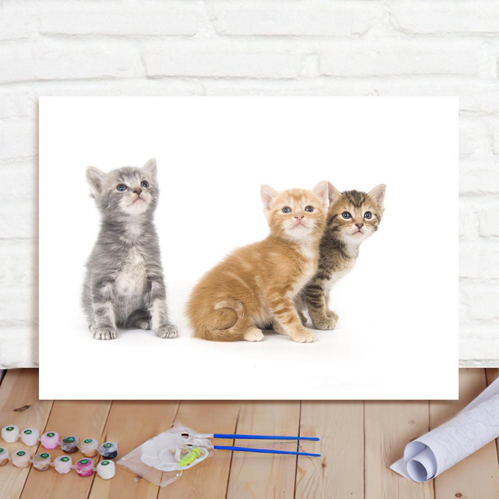 Custom Photo Painting Home Decor Wall Hanging-Three Cats Painting DIY Paint By Numbers
