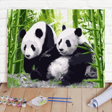 Custom Photo Painting Home Decor Wall Hanging-Giant Panda Painting DIY Paint By Numbers