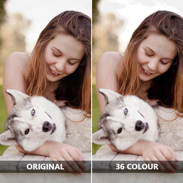Custom Photo DIY Paint By Numbers Kits 24 Colors - 40*40cm