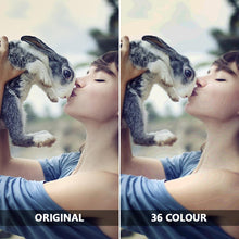 Custom Photo DIY Paint By Numbers for Adults 36 Colors - 40*40cm
