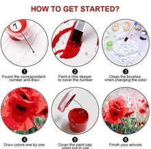 Custom Photo Painting Home Decor Wall Hanging-Red poppy Painting DIY Paint By Numbers